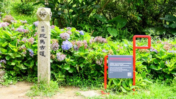 四堵溪畔古道2822097