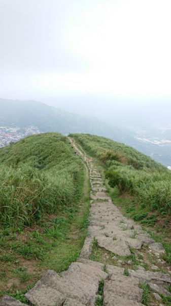 黃金一稜～基隆山東峰 (雷霆峰)→主峰0型377400