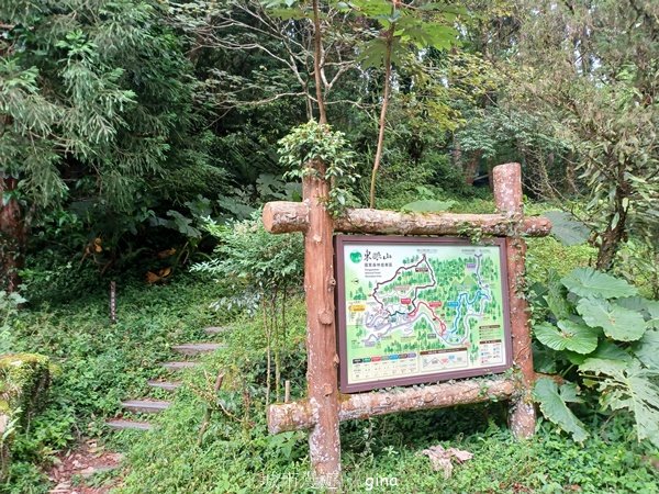 【桃園復興】台灣百大必訪步道。 東眼山森林遊樂區-東眼山自導式步道2835952