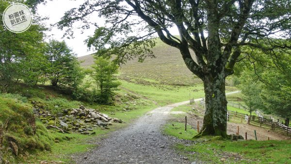 【勇氣2.0朝聖之旅】 D1庇里牛斯山賞雲海652992
