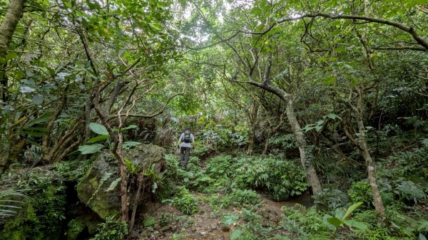 114.06.08門牙岩之O型2806619