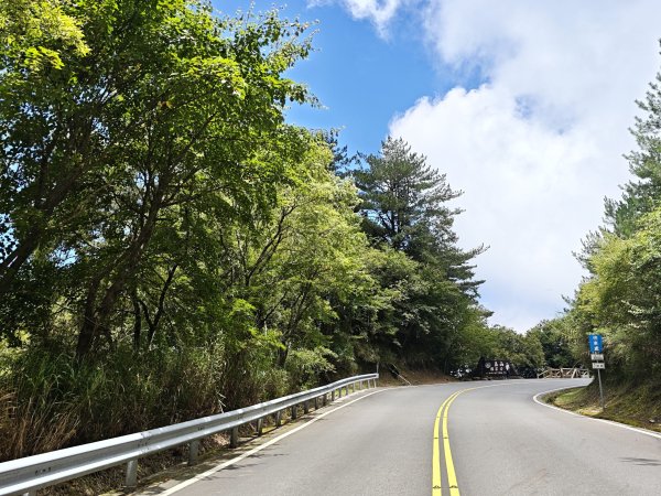 [山海圳_聖山之路_第一段] 2026_0802 自忠⮕鹿林山登山口3109099