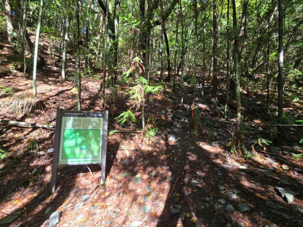志佳陽大山／至高點／雪山大草原／瓢單山屋／四季蘭溪吊橋2927662