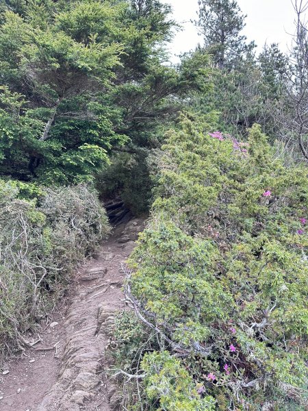 風雨中完成合歡北峰登頂2515337