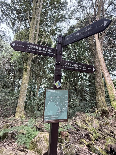 船型山神木悠遊    2025.09.222893813