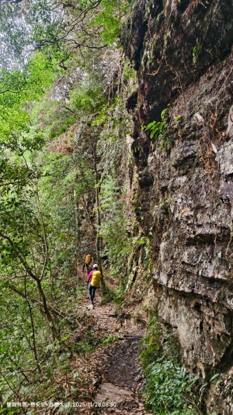 114.11.28-29 雙龍林道~巒安堂~西巒大山2954859