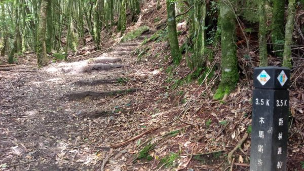 20220910稍來小雪山步道-鞍馬山支線1839355