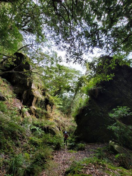 福巴越嶺國家步道2364489