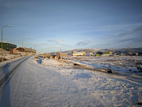 [紐約馬之行-32] 2025_1106 格陵蘭犬2947905