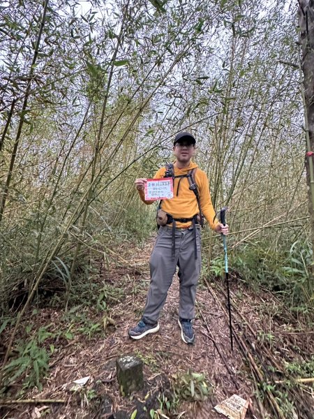 20241222冷飯坑山-楓子林山-烏月山群峰-昇高坑山-竹麻寮山2674718