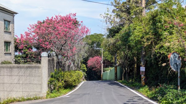 天元宮,楓樹湖,北新庄,淡水老街2430324