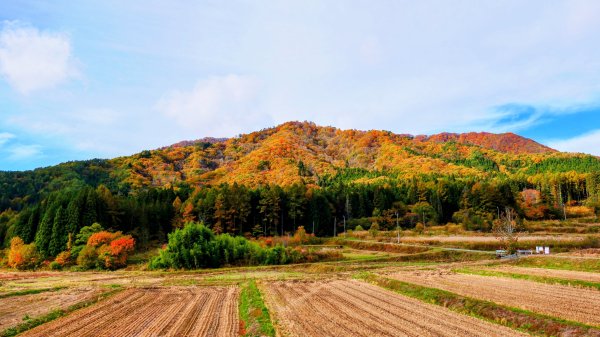 福島縣大內宿合掌屋2930230