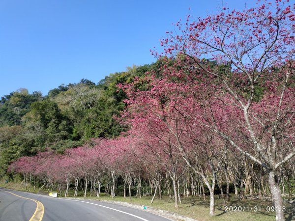 台灣小百岳No.085三星山909820