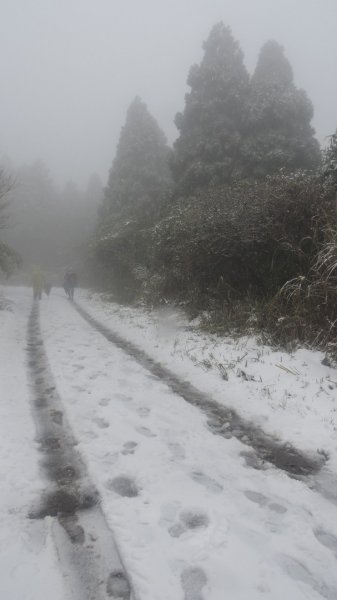 台北後花園下雪了 ！1232086