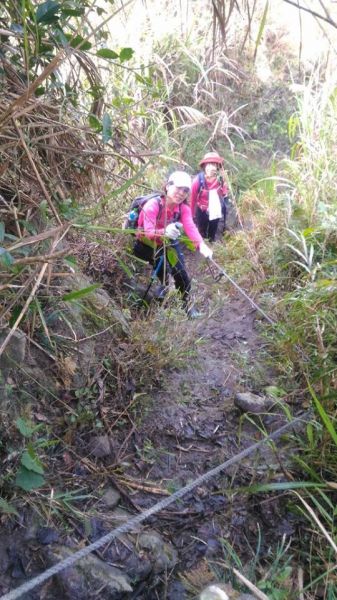 三腳南山〈H1187M〉（小百岳）294360