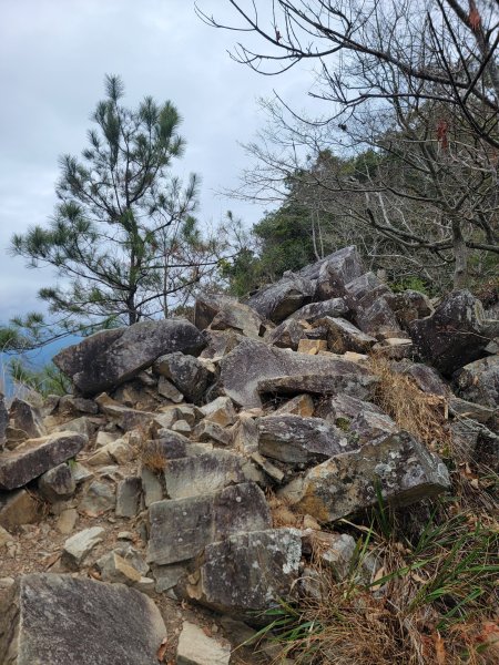 2026-0201-東卯山3013018