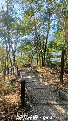 【台中和平】捎來步道x2025山谷燈光節2957999