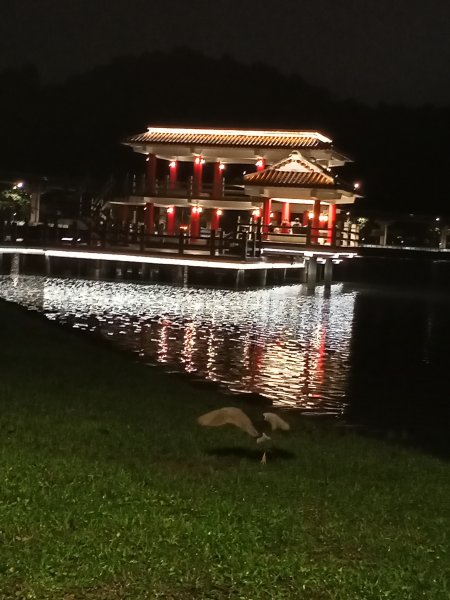 大湖公園《雨中夜行》1904710