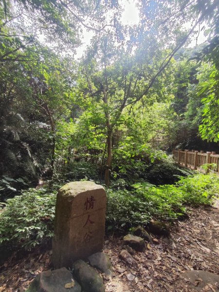 苗栗獅潭鳴鳳古道2929608