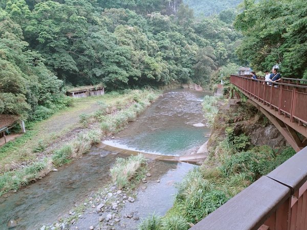 小烏來天空步道1070431