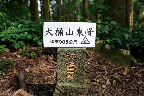 新北 烏來 烏來山、大桶山、四崁水山2829259