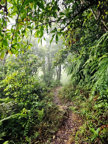 2026年臺北大縱走第六段：中華科技大學至捷運麟光站3026030