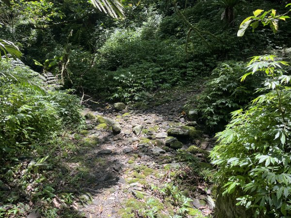 [淡蘭古道] 2025_0802 南路第四段2850942