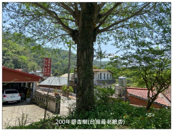 玉山前峰、玉山 (新竹、關西)2764220