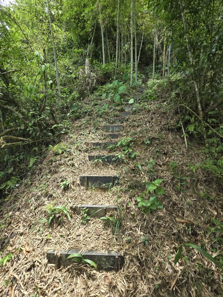 20260516 小百岳-南投集集大山3056238