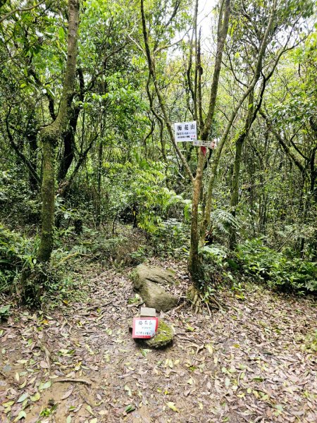 2025年臺北大縱走第四段：風櫃口至中華科大2756003