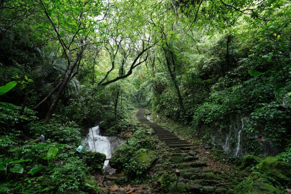 新北 瑞芳 頂子寮山、五分山2615517