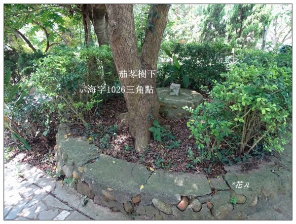 大甲/鐵砧山(小百岳)631038