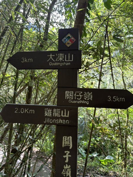 20250830台南關仔嶺大凍山步道2914677