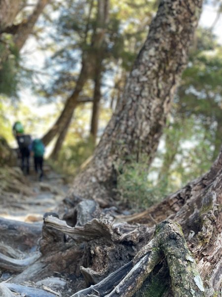 【健人HIKERS】兩天一夜玉山主峰、玉山西峰2769126