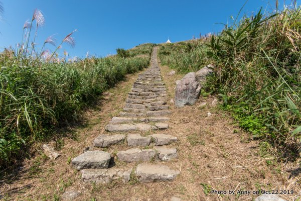 基隆山（雞籠山）登山步道716648