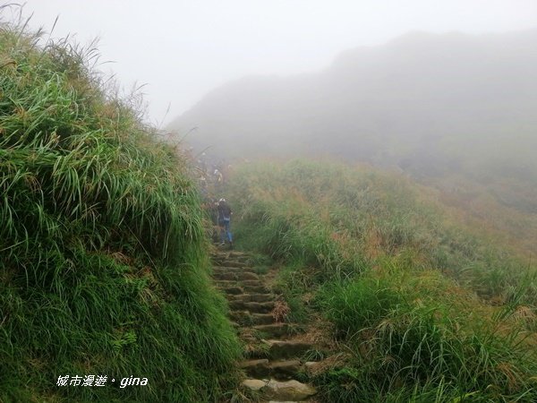 台北市第一高峰。 編號02小百岳七星山1235307