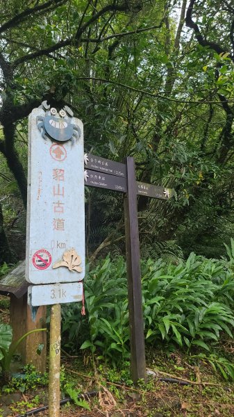 2025-01232淡蘭古道北二段(燦光寮古道到澳底)2696552