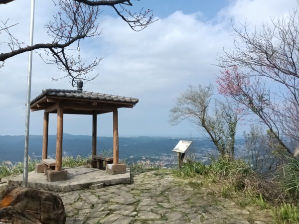 大尖山櫻花-龍船洞-秀峰瀑布2733737