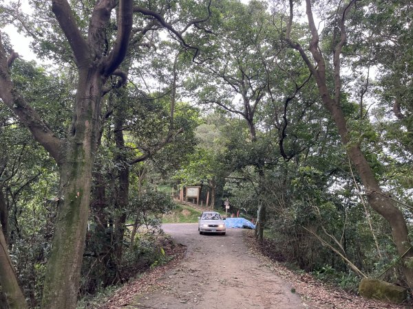 [微笑山線_第二段] 2025_0720 大棟山系_百年大榕樹2843316