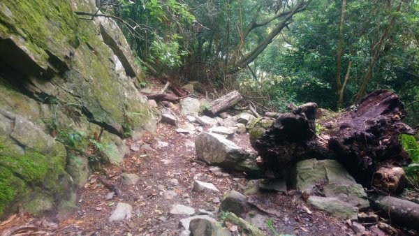 坡很陡的波津加山(老四)1835015