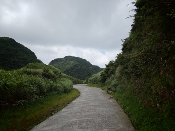 [淡蘭古道] 2026_0531 北路第一段_燦光寮古道(上)-草山戰備道3070677