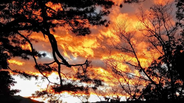 20241221 霞喀羅二天一夜露營賞楓2711956