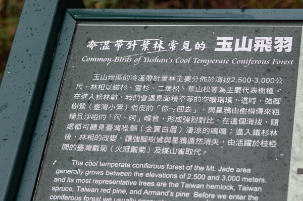 玉山前峰-翻越石瀑的第五座百岳之旅。2254857