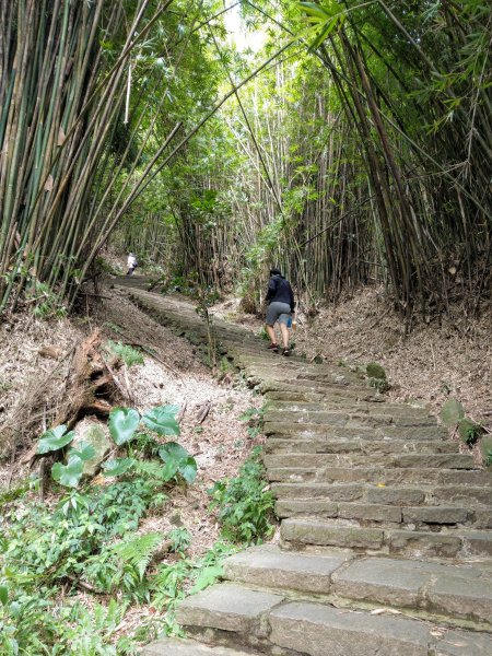 晴空萬里的硬漢嶺步道(觀音山)、凌雲寺往返＋原始土石山徑1489139