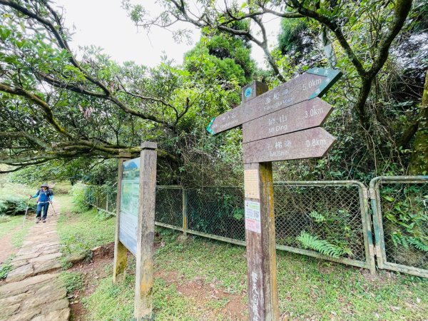 1140927磺嘴山2896064