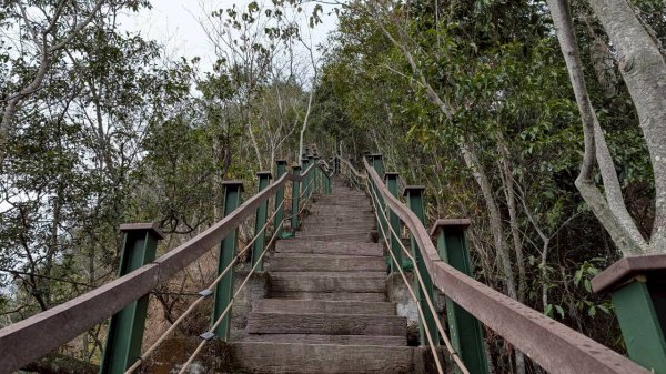 後尖山步道3008304