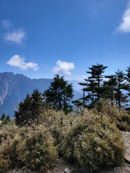 20260315-玉山前峰3018708