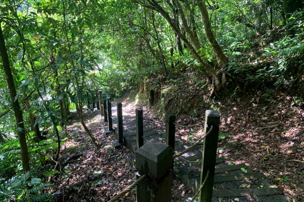 新北平溪｜嶺腳寮登山步道｜拜訪孤獨車站．親近仙氣滿載的望古瀑布1574418