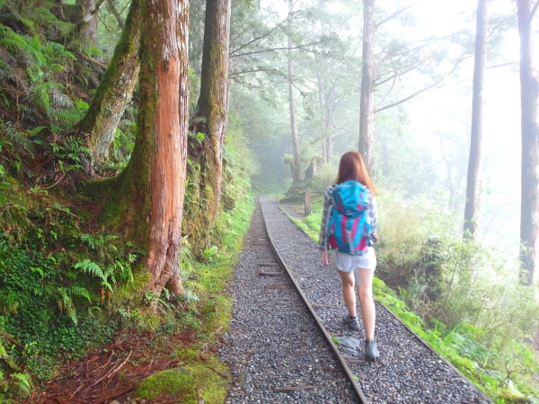 太平山之見晴懷古步道43087