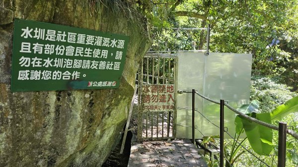 20250917七星山北北峰上北峰-主峰-南峰-摘星峰+紗帽山南峰2889398